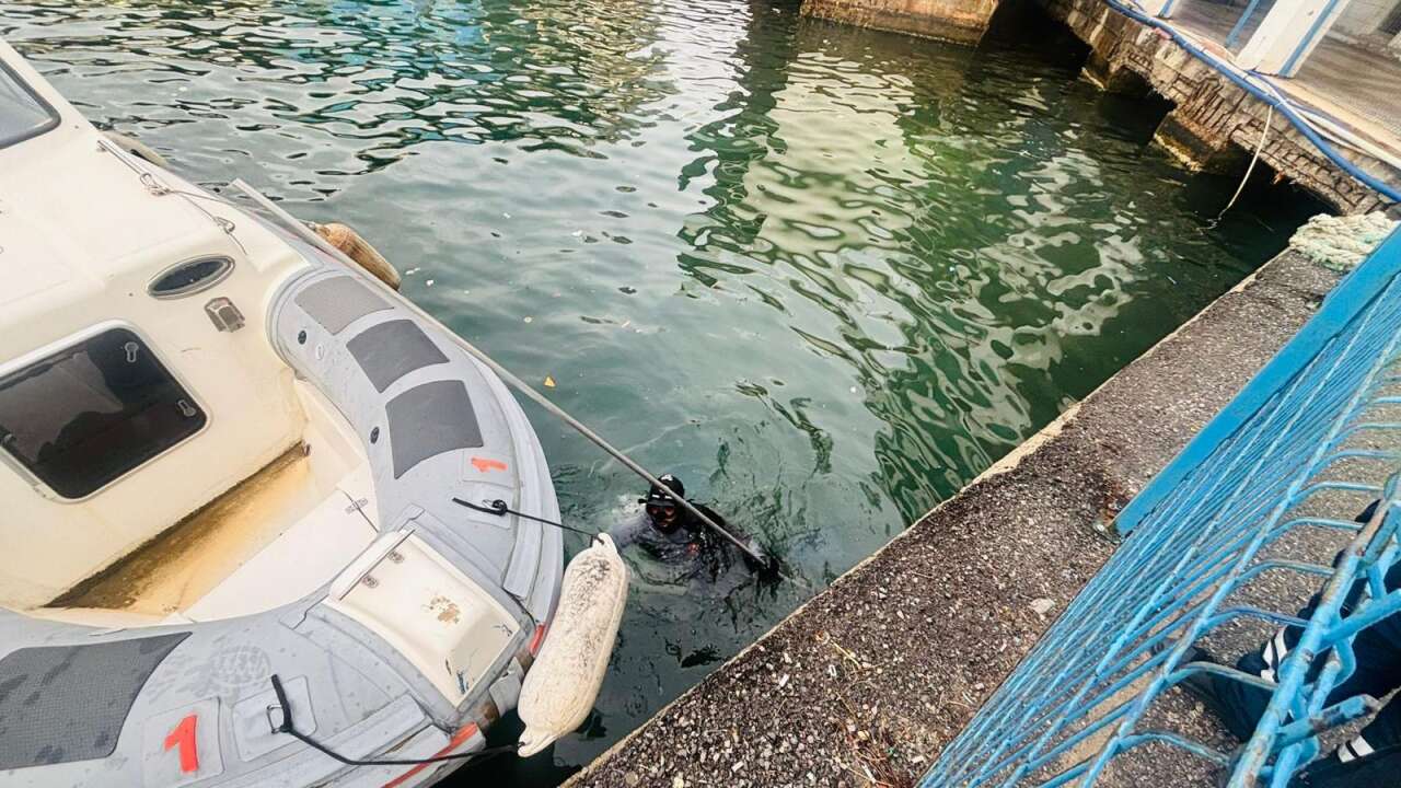 İzmir İtfaiyesi iskelenin altına sıkışan kediyi operasyonla kurtardı 2