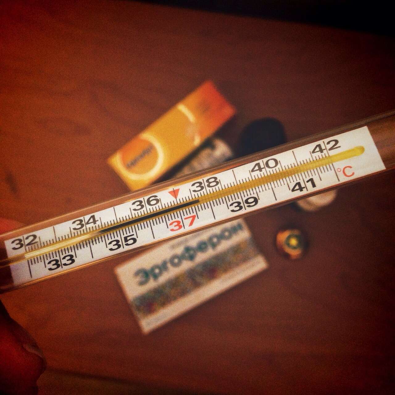 Kışın bağışıklık için “gazı köklemek” değil, dengeyi tutturmak gerekiyor 2