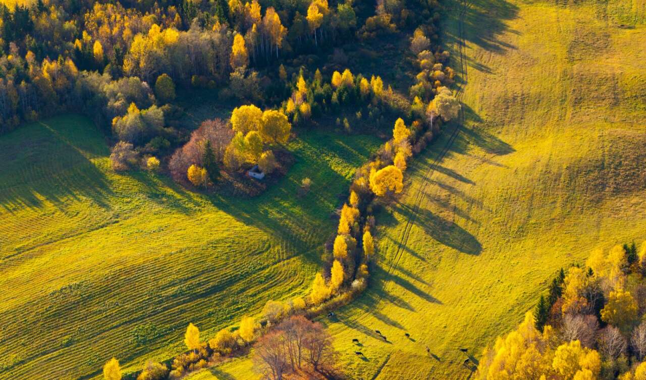 AB vatandaşlığı hayali kuranlara Letonya tuzağı 1