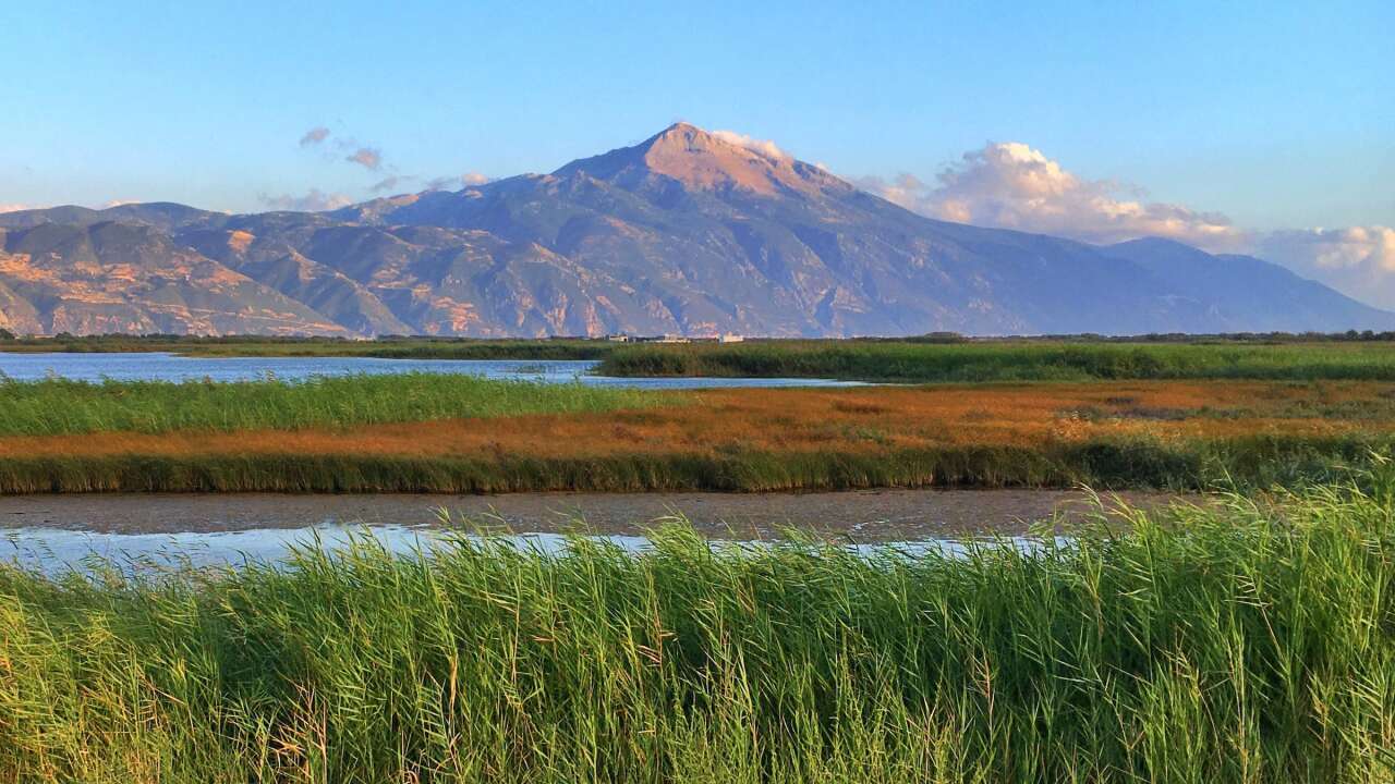Milleyha’da doğa için buluşma: Gözlem merkezi 13 Şubat’ta açılıyor 4
