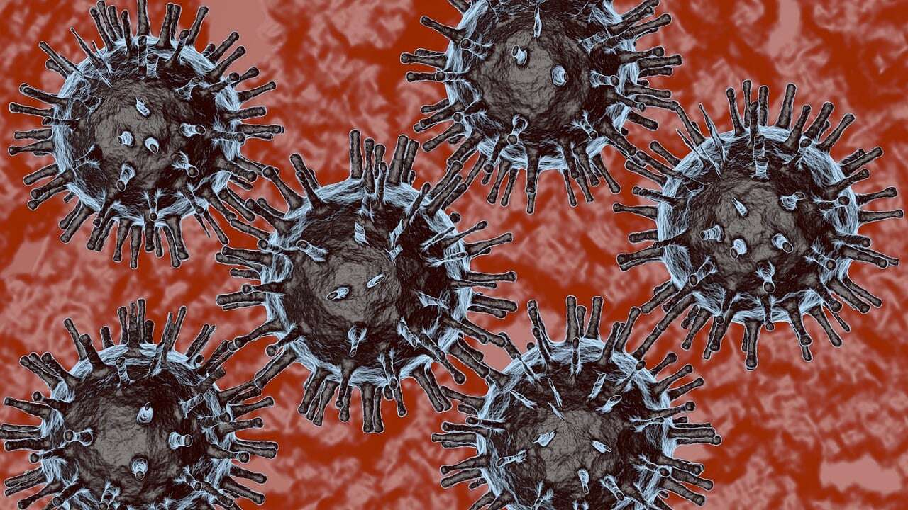 Henüz Türkiye'ye gelmedi ama yarasa kaynaklı yeni virüs Hindistan kaynaklı 2