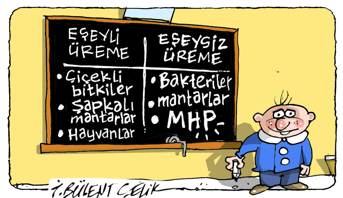 İ. Bülent Çelik'in 29 Mart 2026 tarihli karikatürü 1