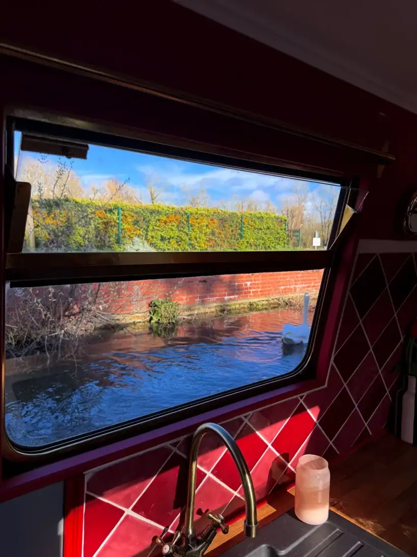 Önce 'hurda' dediler, şimdi gıptayla bakıyorlar: Her ay servet biriktiriyor 13