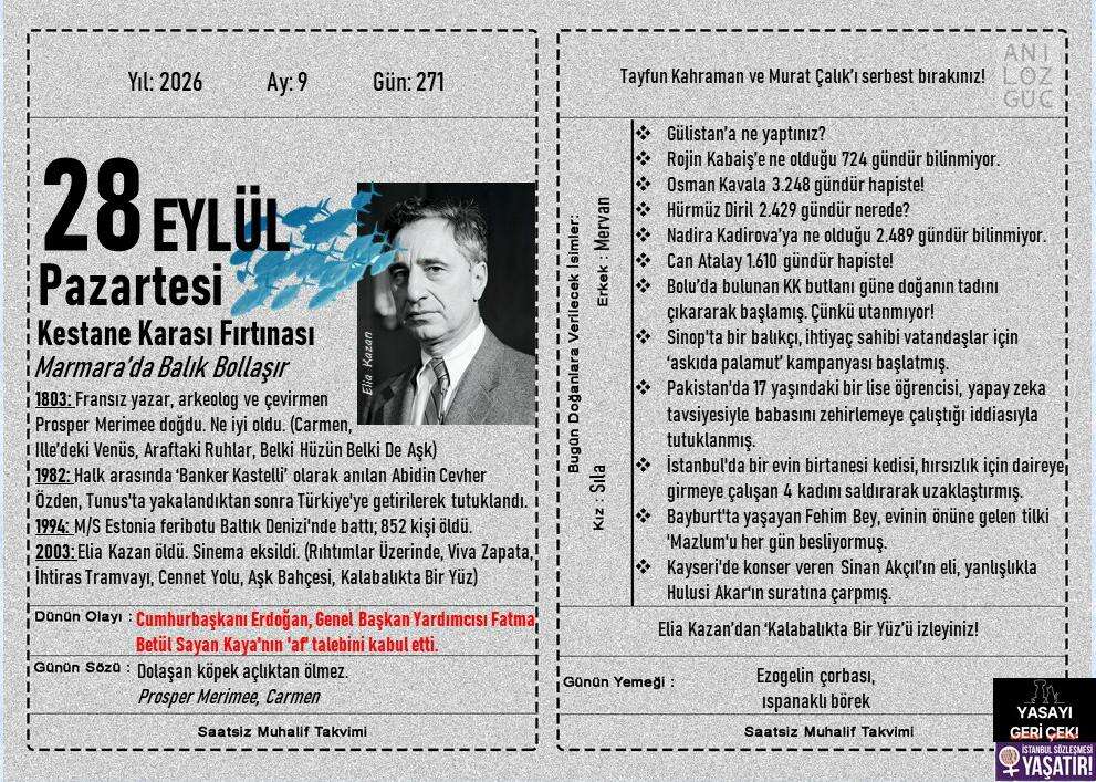 Kestane Karası Fırtınası 1