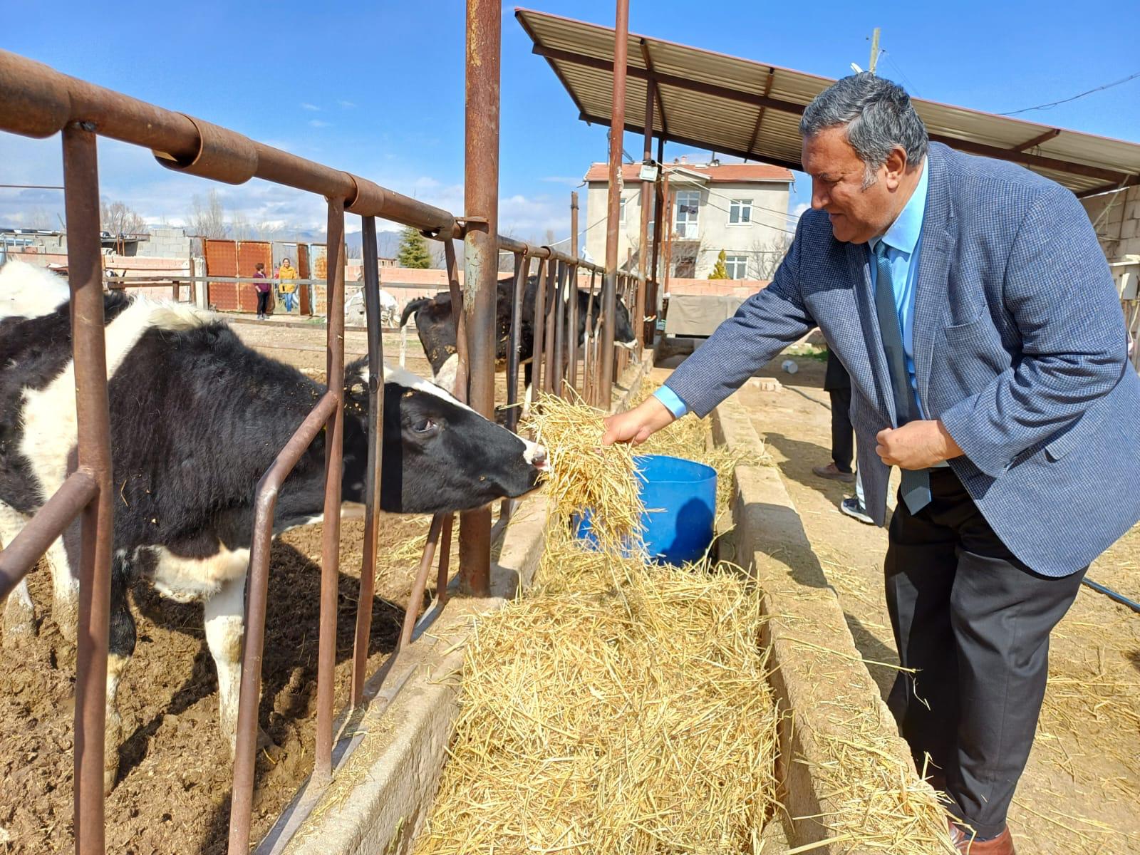 CHP'li Gürer'den yem ithalatına tepki: Yem fiyatlarındaki artış, et fiyatlarını doğrudan etkiliyor