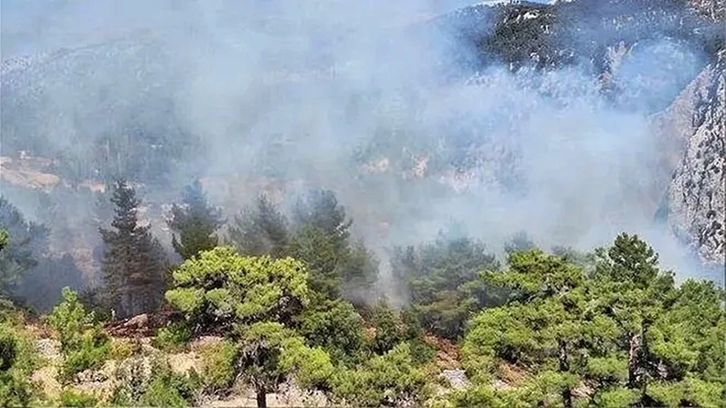 Antalya'da orman yangını: Alevler bir anda yükseldi