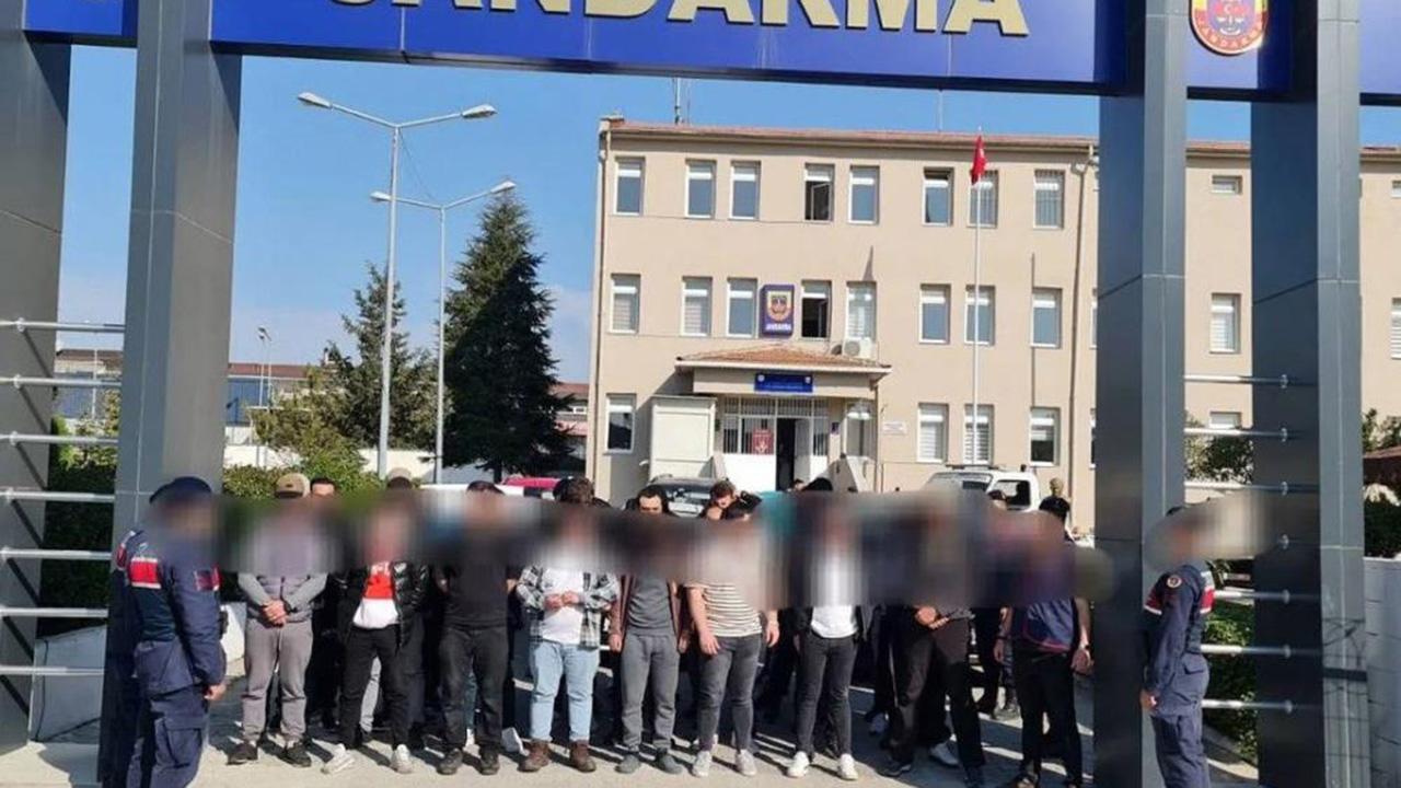 Kırklareli'de köpek dövüştüren 34 kişiye para cezası verildi