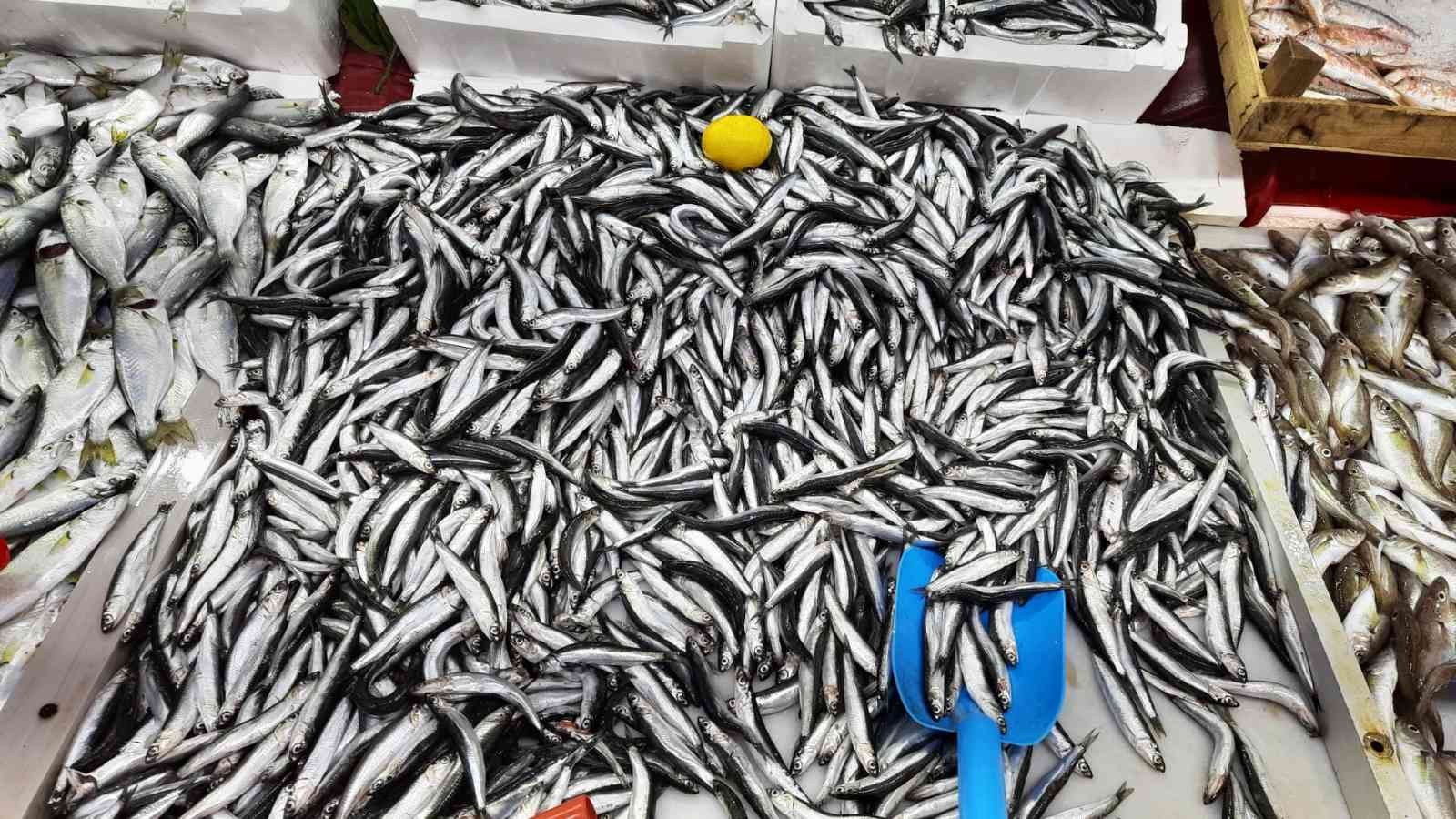 Zonguldak’ta balıkçılar umduğunu bulamadı
