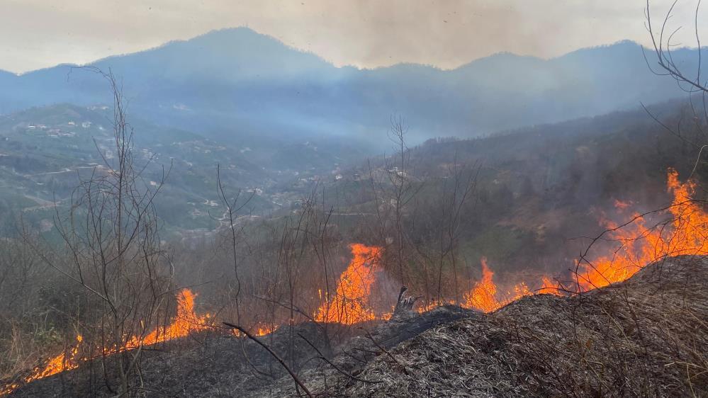 Çanakkale Valiliği, orman yangını uyarısında bulundu
