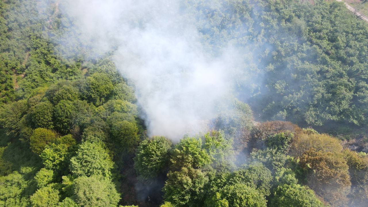 Sakarya'da orman yangını:  5 dönüm alan yandı