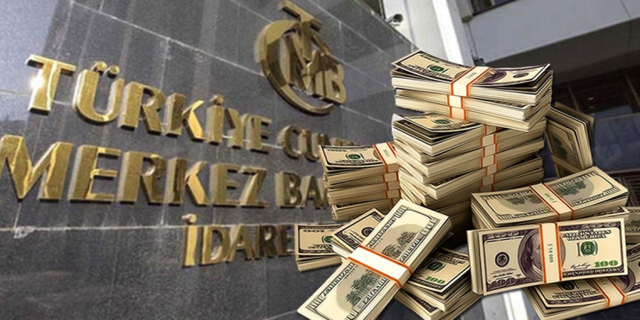 Alaattin Aktaş: Merkez Bankası'nın paraları nereye gitti?