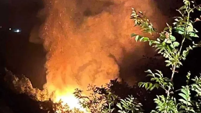Yalova'da orman yangını: 2 kişi gözaltına alındı