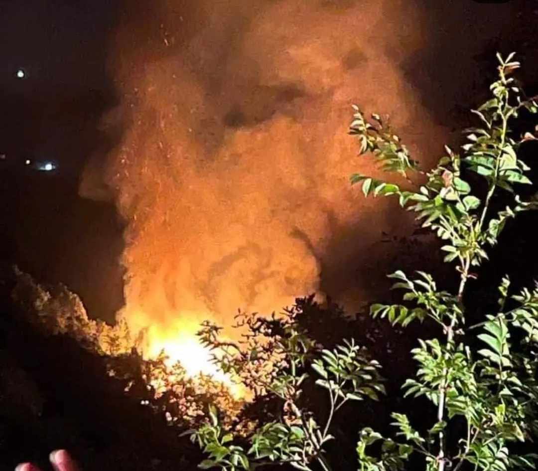 Yalova'da gece saatlerinde çıkan yangın söndürüldü: 2 gözaltı