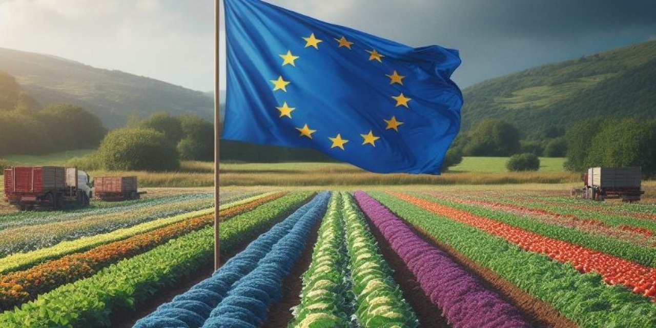 Avrupa Birliği organik tarım mevzuatında değişiklik, uyulmazsa tarım ürünleri ihracatımız düşebilir!