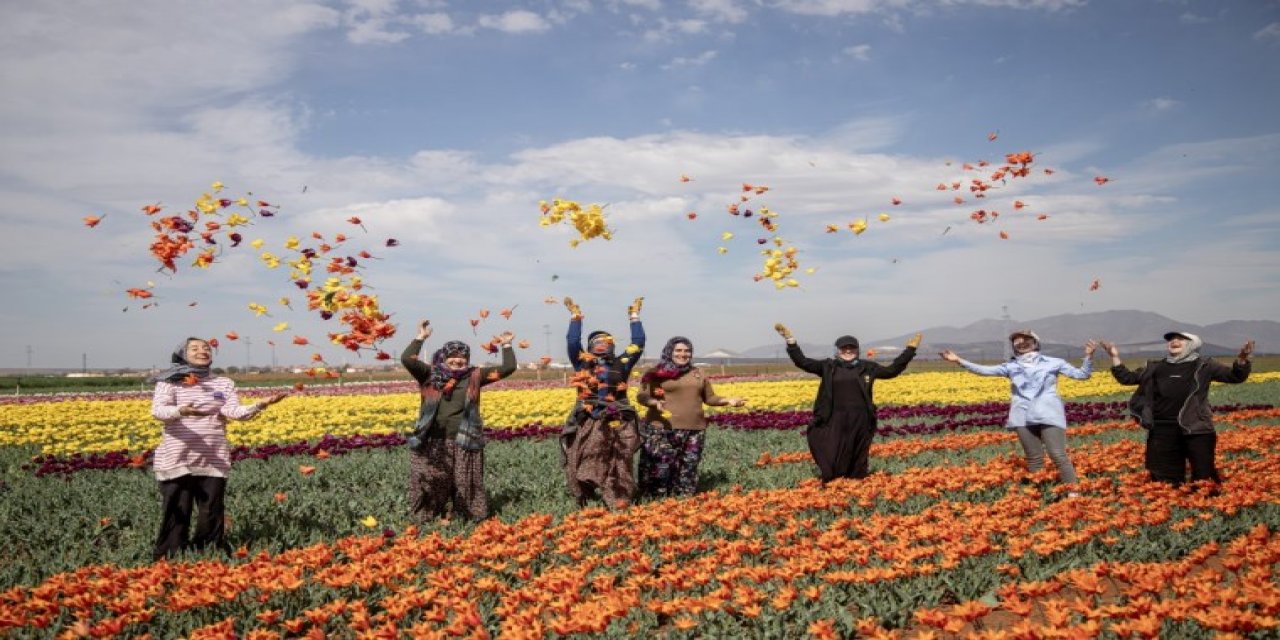 Lale hasadının renkleri Karaman'ı gökkuşağına dönüştürdü