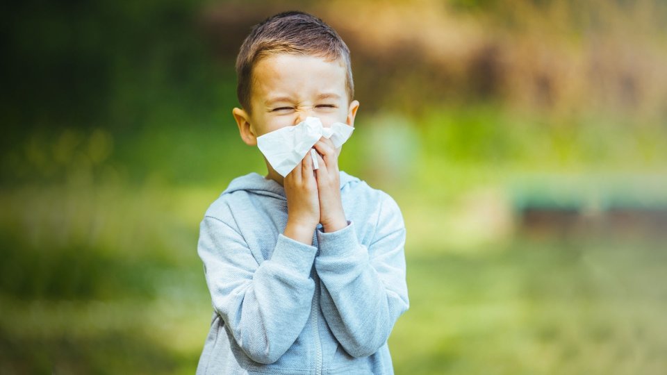 Uzmandan tavsiyeler: Polen alerjisi olan çocuklar ne yapmalı?