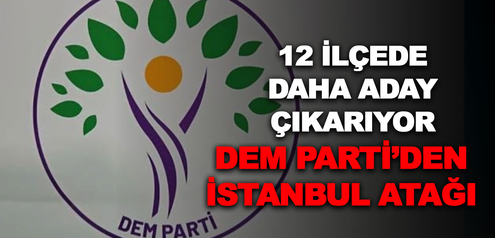 DEM Parti'nin İstanbul'da 12 ilçede göstereceği adaylar belli oldu