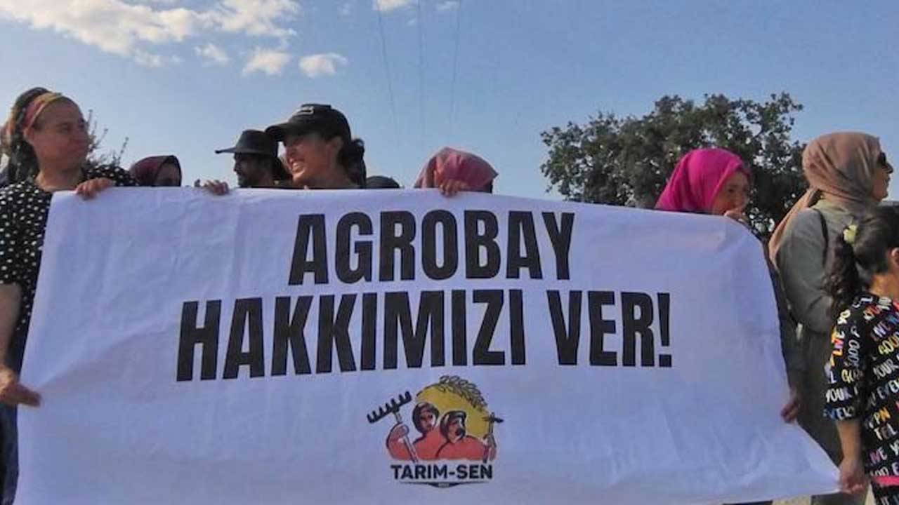 Avukatlar reddi hakim talebinde bulundu: Agrobay işçilerinin davaları ertelendi