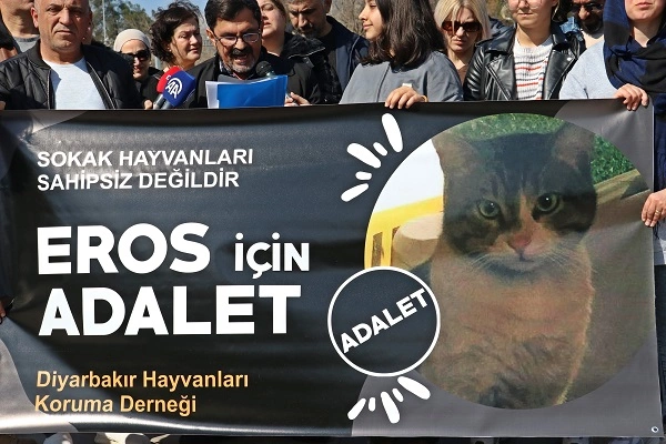 Diyarbakır'da hayvanseverler 'Eros'u öldüren kişinin ceza alması için toplandı