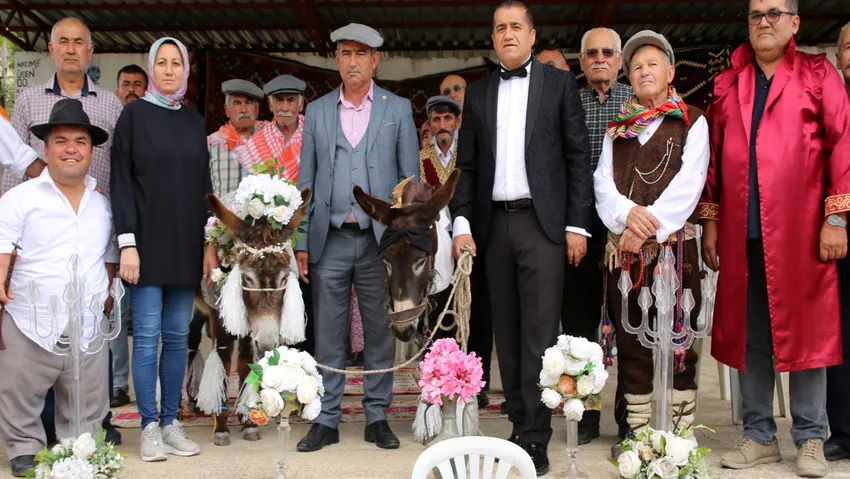 Antalya’da eşeklere düğün yapıldı: Beşi bir yerde takıldı, traktöre bindirilerek “balayına” gönderildi