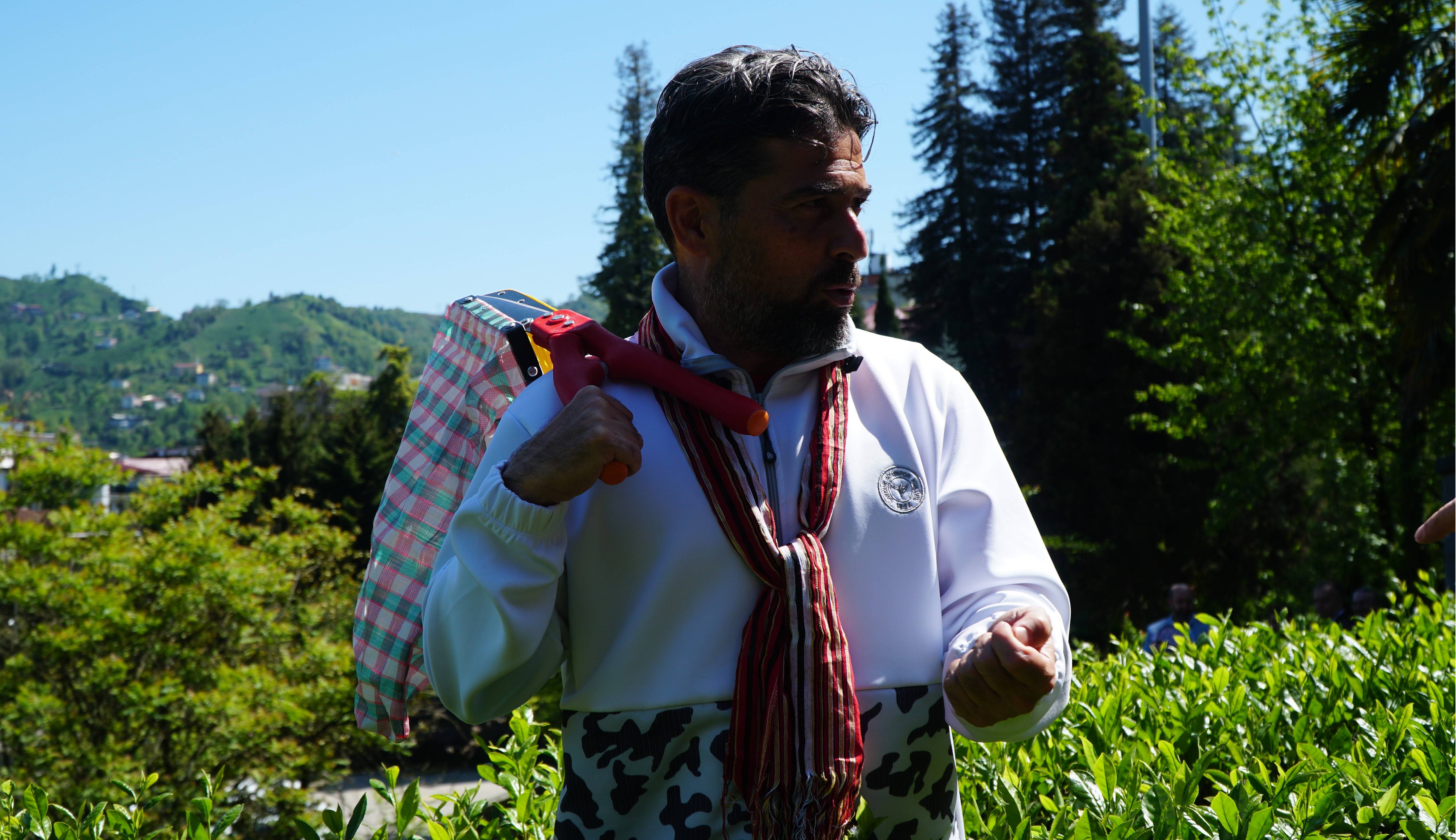 İlhan Palut çay hasadına katıldı: Rize çayı bambaşka