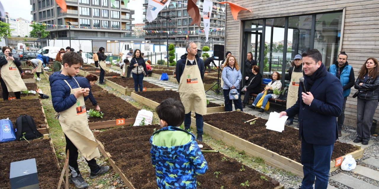 Kadıköy Bostanları’nda yaz dönemi fidanları toprakla buluştu