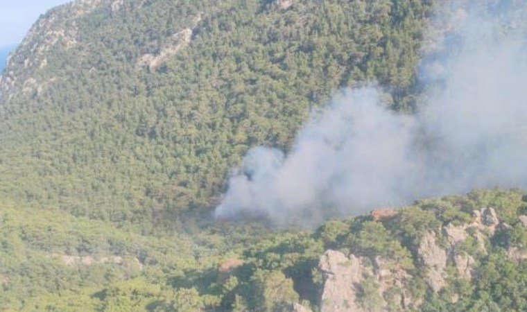 Orman yangınları sezonu erken başladı! Çanakkale'de alevler hızla yükseldi