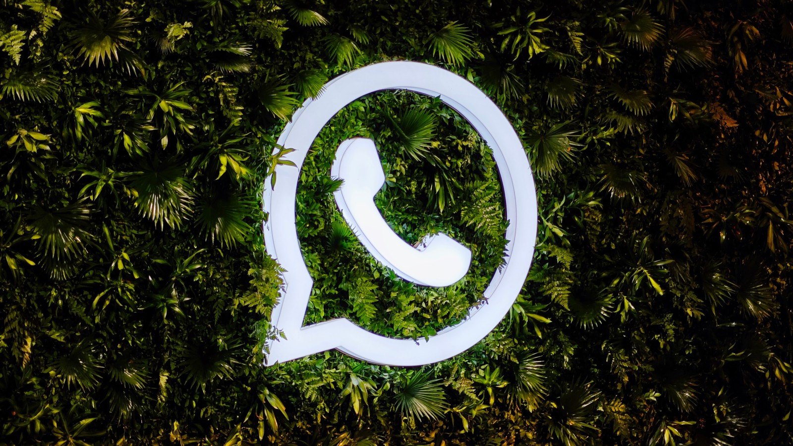 WhatsApp, yeni özelliklerle kullanıcı deneyimini geliştirmeye hazırlanıyor