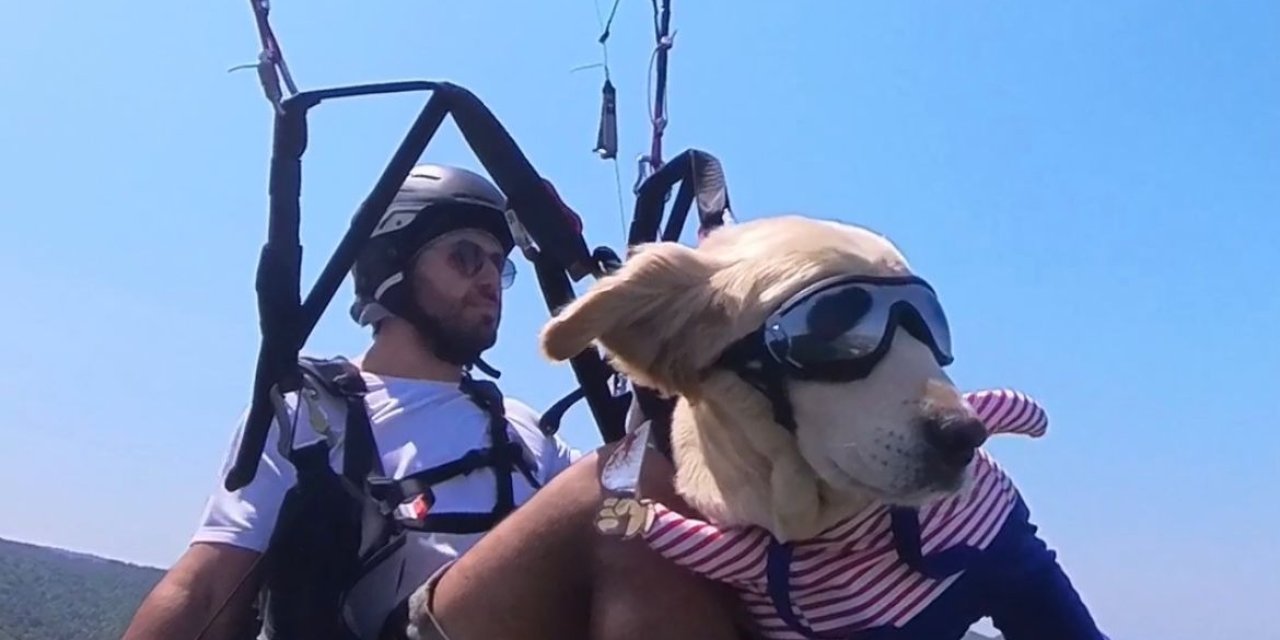 Köpeği Badem ile yamaç paraşütü yapıyor