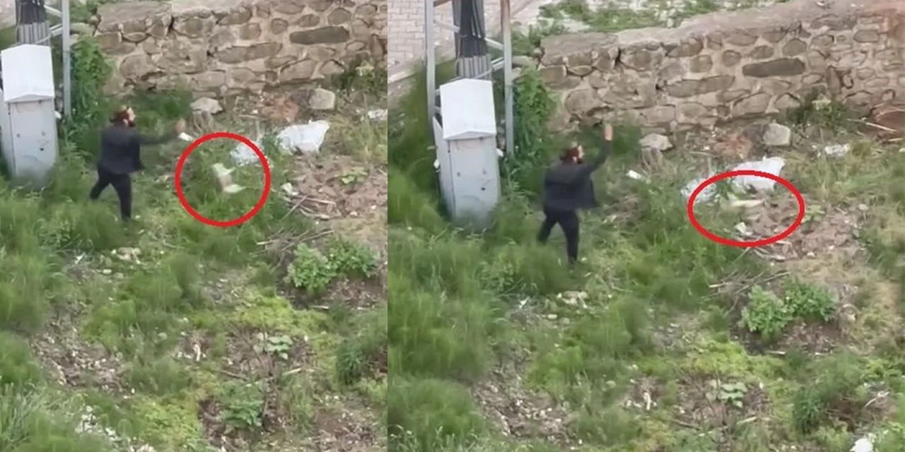 Trabzon'da vahşet: Yavru kediyi ezerek öldüren kişi kameraya yakalandı