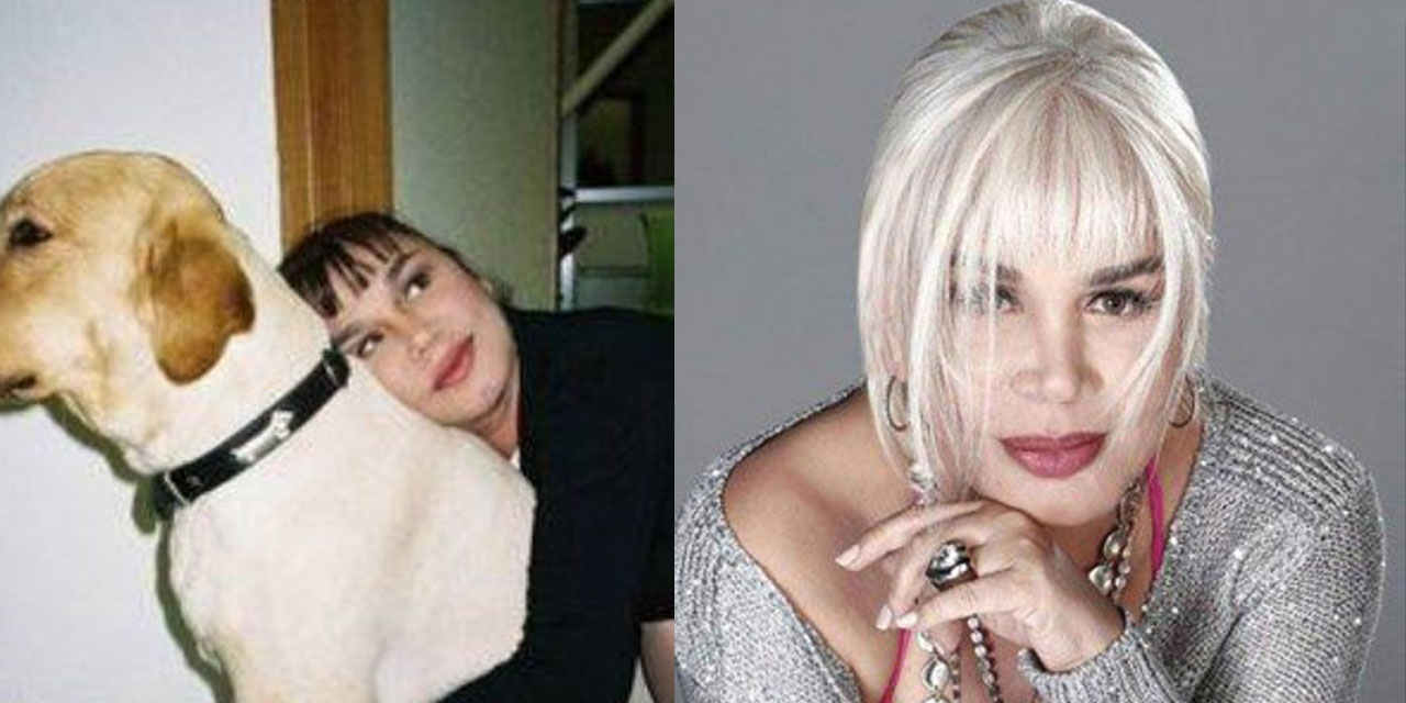 Sezen Aksu, sokak hayvanlarını toplama projesine isyan etti