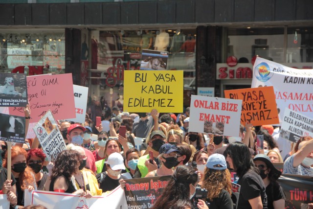 AKP’nin ‘hayvan hakları yasa teklifine’ TBB’den tepki