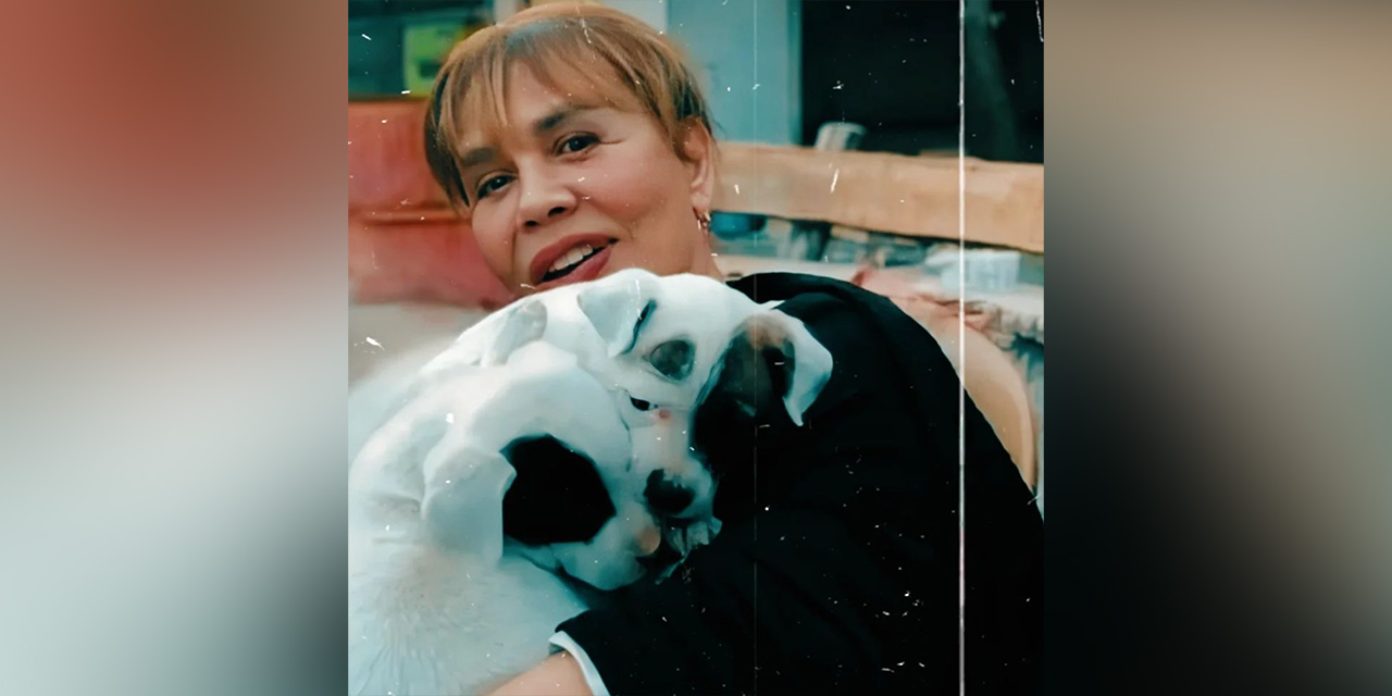 Sezen Aksu'dan köpeklerin yaşam hakkına yönelik yasa tasarısına tepki!