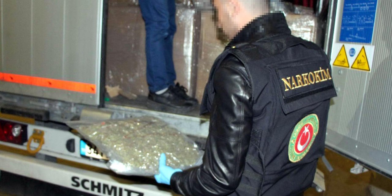 Kapıkule'de TIR'da 370 kilo esrar ele geçirildi