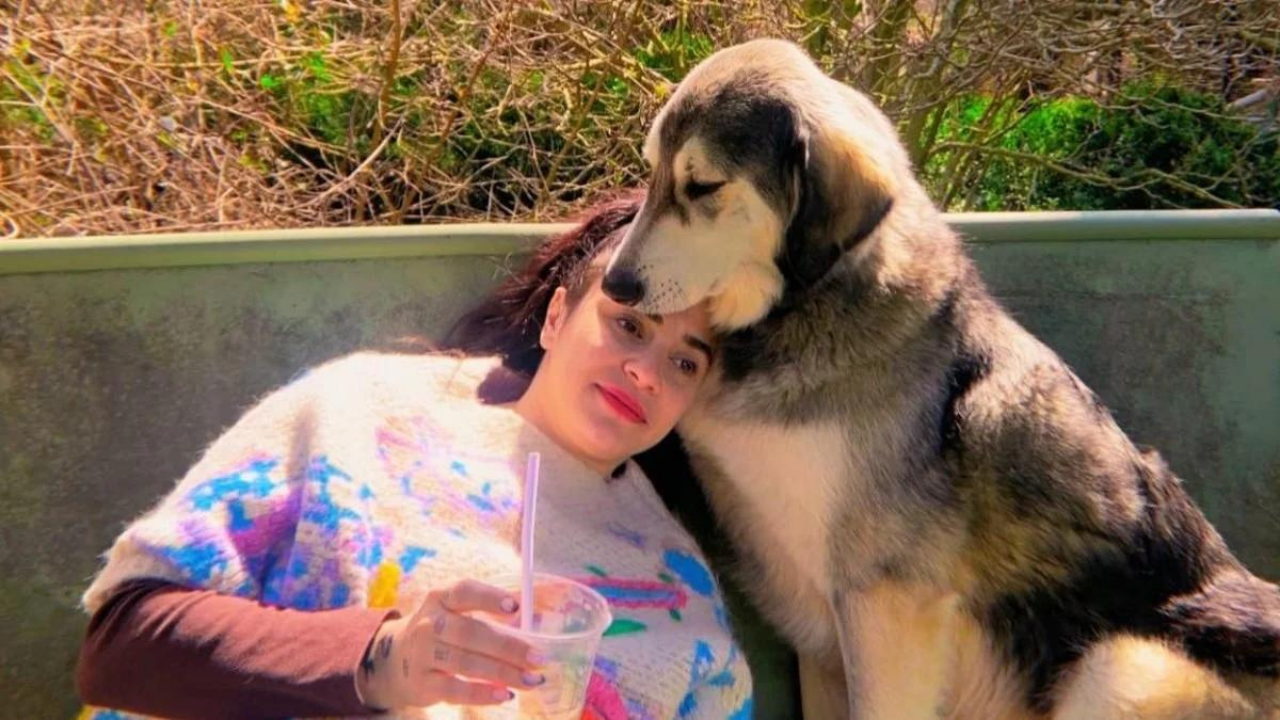 Ceylan Ertem’den sokak hayvanlarının uyutulmasına tepki