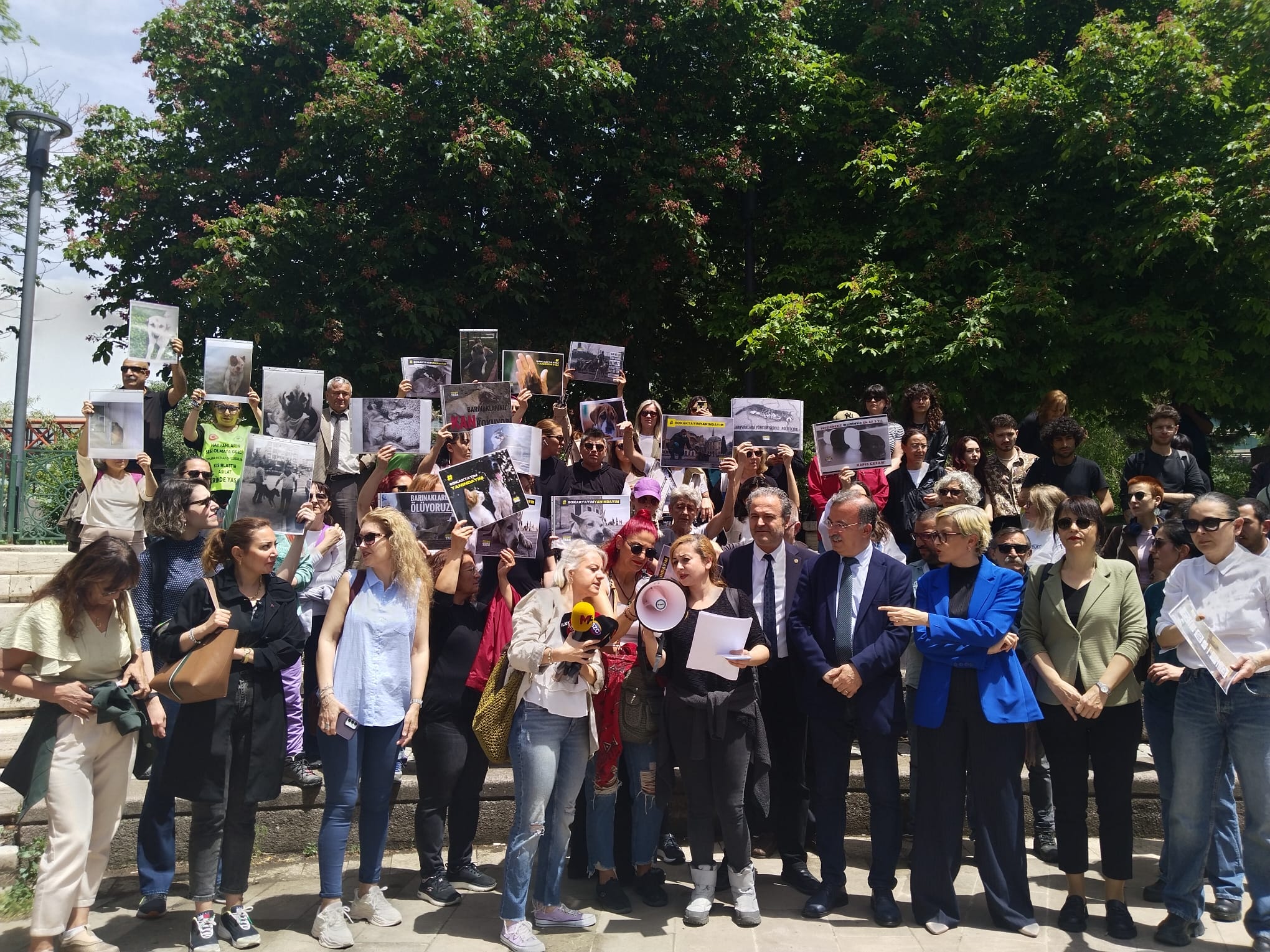 Hayvan hakları savunucuları Meclis önünde: Katliam yasası çekilene kadar sokaktayız