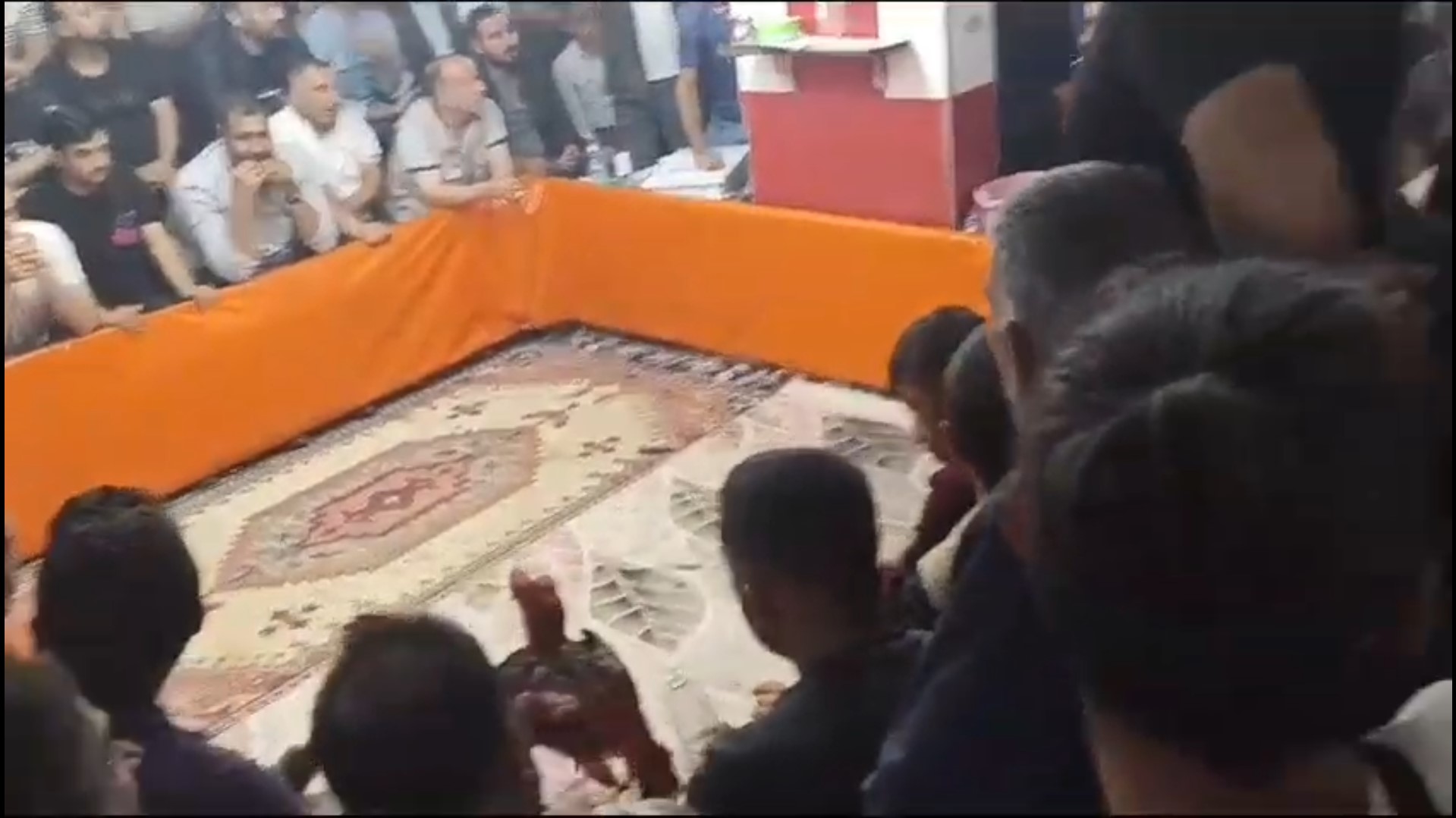 Horoz koruma derneği horoz dövüştürdü!