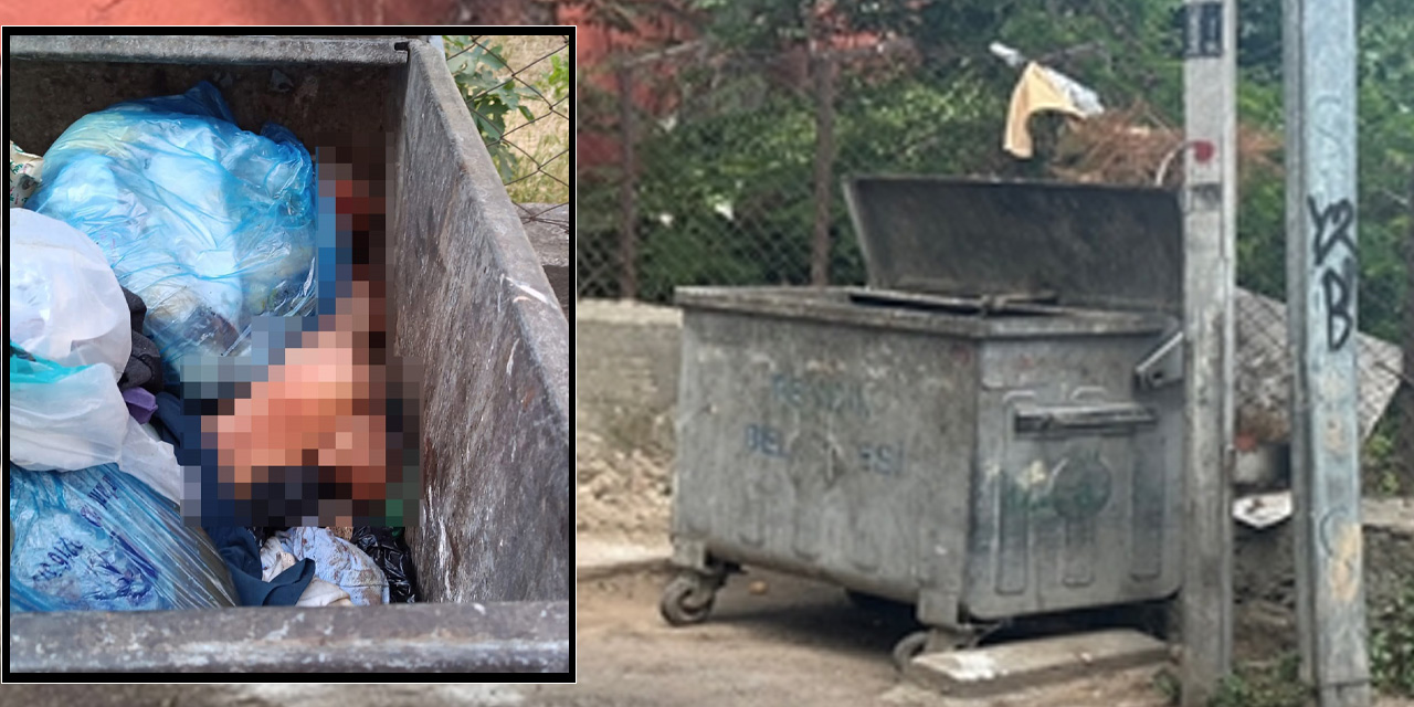 Pendik'te çöp konteynerinde parçalanmış erkek cesedi bulundu!