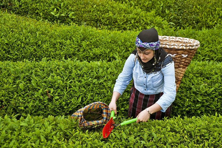 CHP 2 Haziran’da çay mitingi yapacak