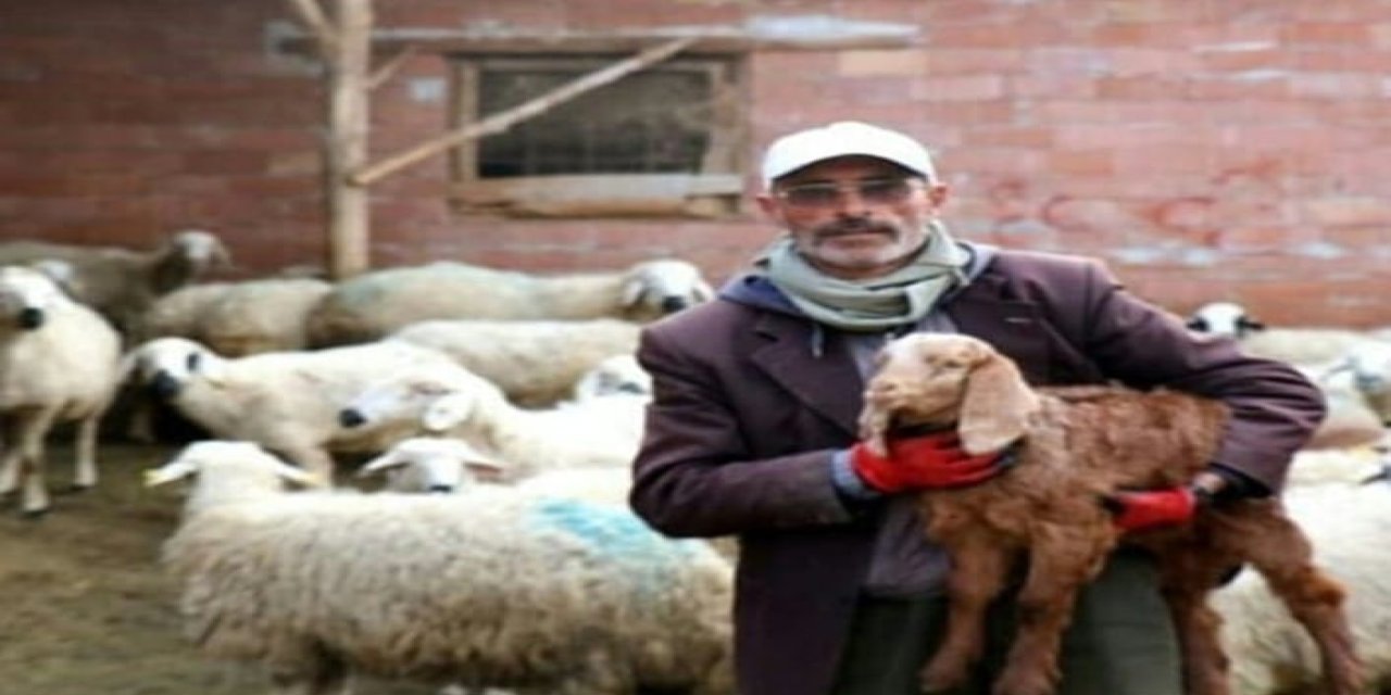 Muhtarlığı kaybeden şair Aydın Battal dolandırıldı: 'Yalan tatlı geldim, inandım'