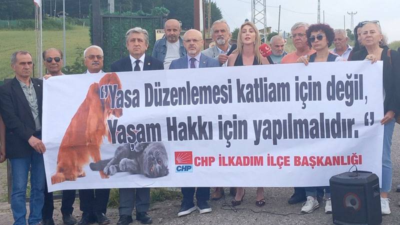 CHP'den sokak hayvanları için barınak mesaisi