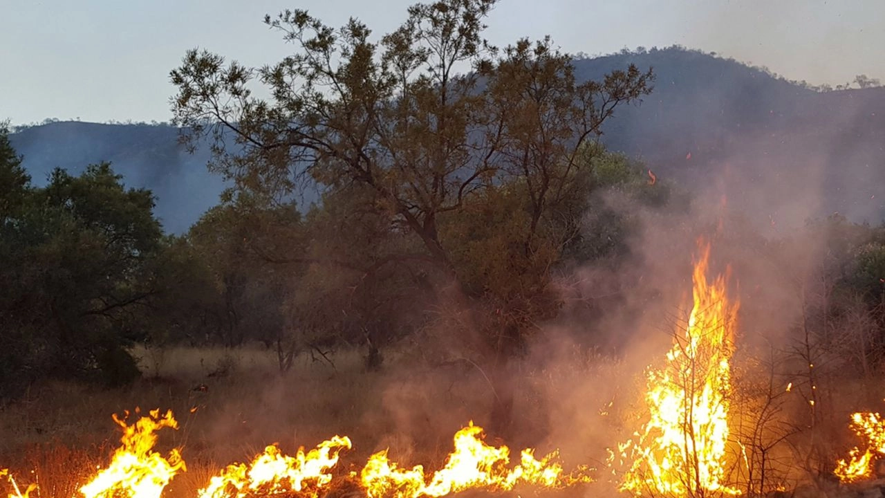 Manisa'da yangın alarmı! Ekip sayısı 71'e çıkarıldı, tren seferleri durduruldu