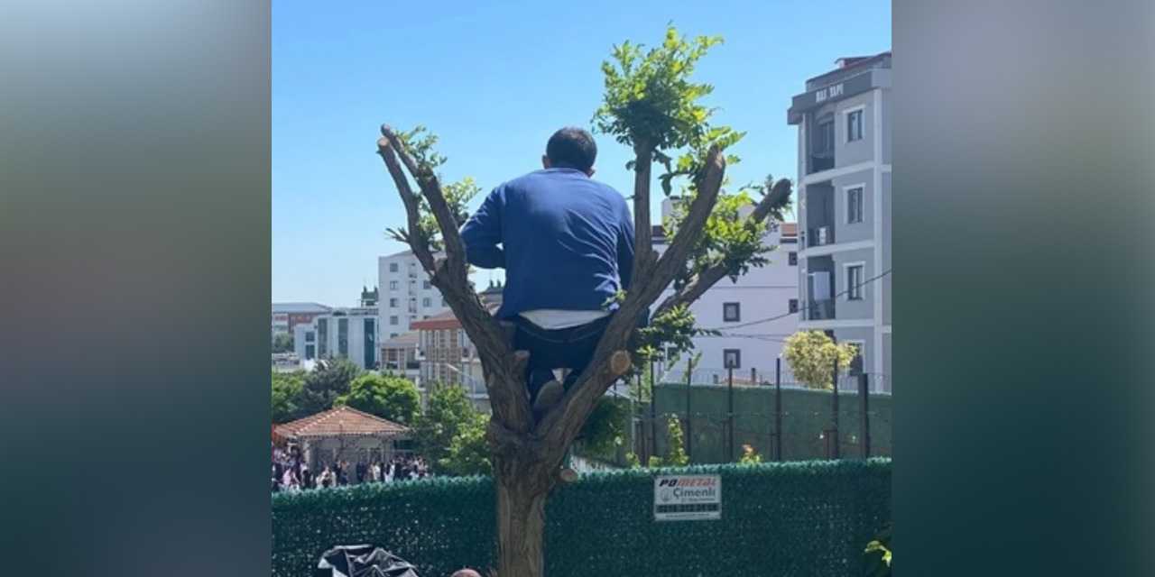 Bir veli LGS sınavına giren çocuğunu ağacın tepesinde bekledi