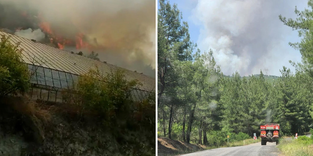Bursa ve Antalya'da orman yangını!