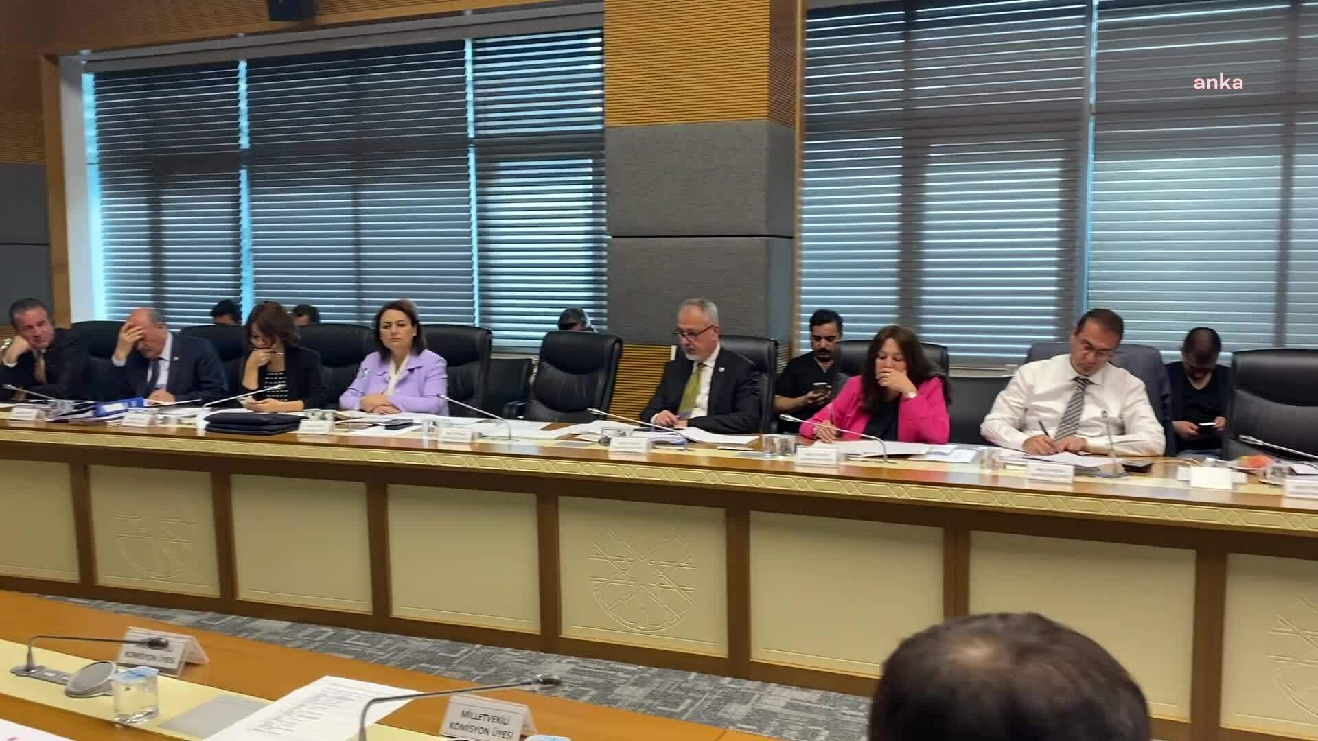 Meclis’te Anagold temsilcileri dinlendi: Bilirkişi raporu hatalı