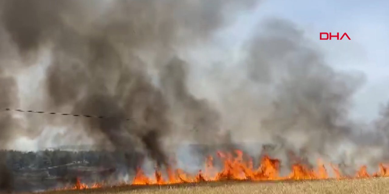 Çanakkale’de tarım arazisinde yangın çıktı