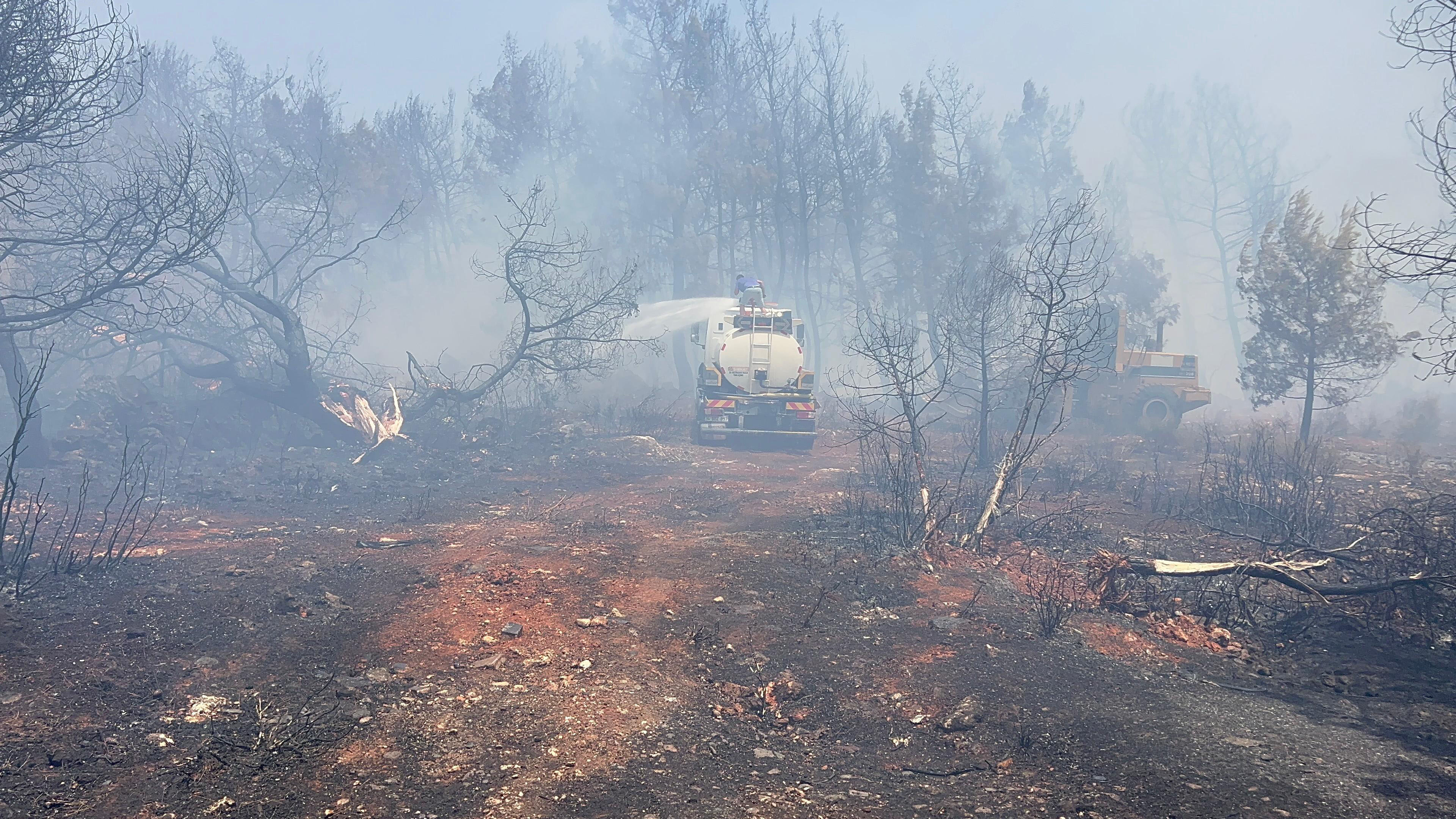 Antalya'da orman yangını çıktı: Yangın kontrol altına alındı