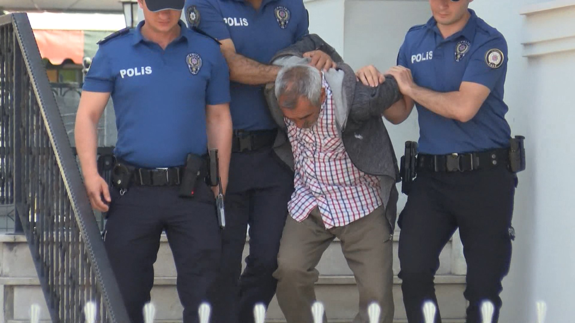 Bakırköy'de köpeğe cinsel istismar şüphelisi gözaltına alındı