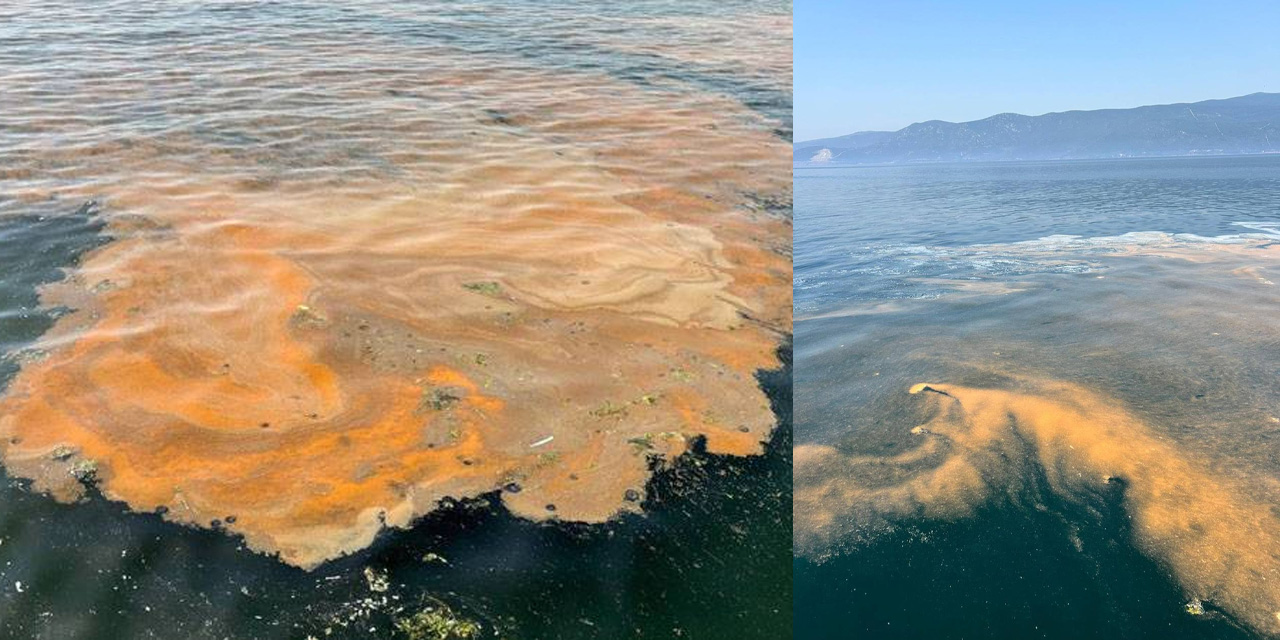 Marmara'da korkutan manzara! "Denize girmek tehlikeli" olabilir