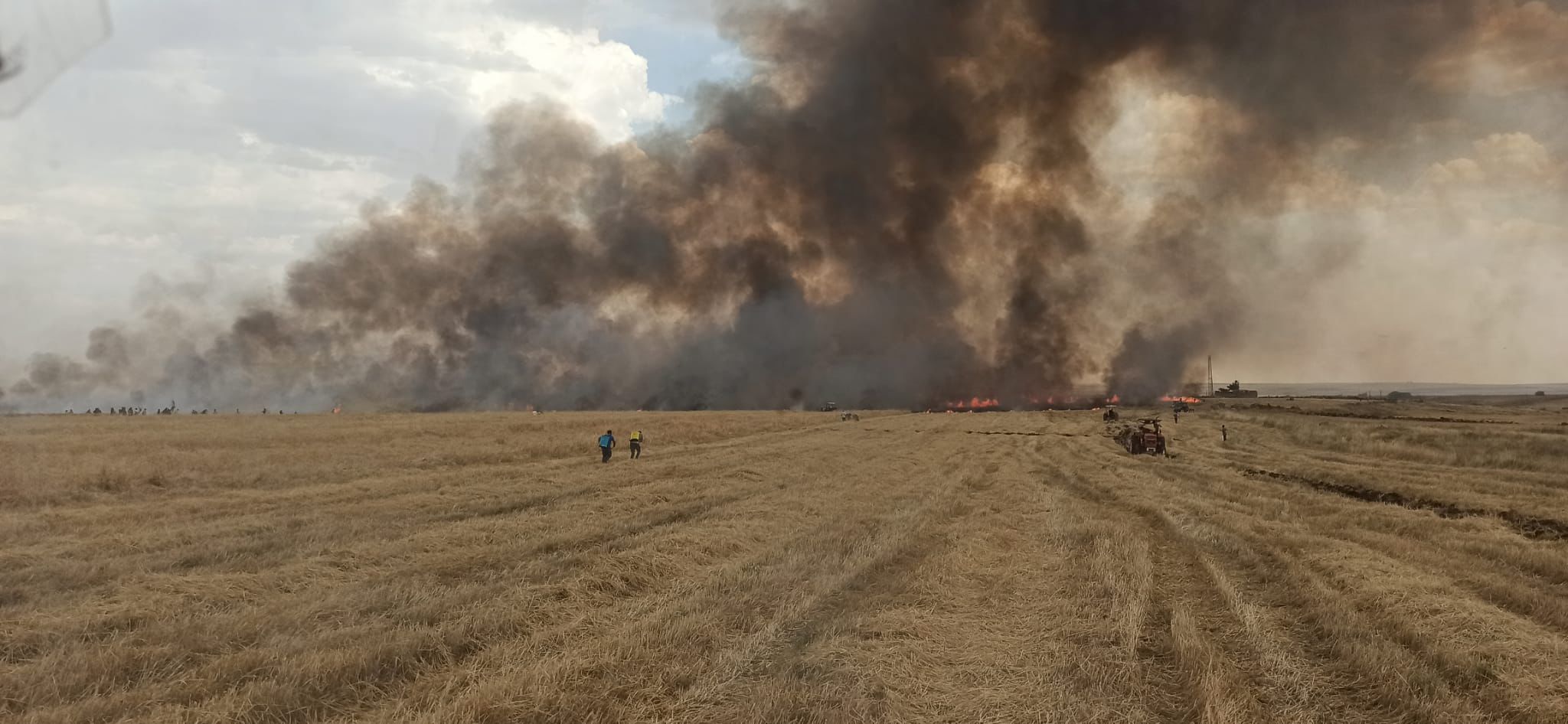 Şırnak'ta 'yıldırım' yangınları; buğday ekili araziler ile meralar yandı